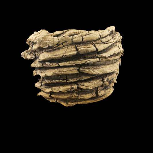 Crevice Corrosion #046