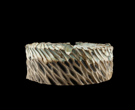 Lacerated ashtray #008